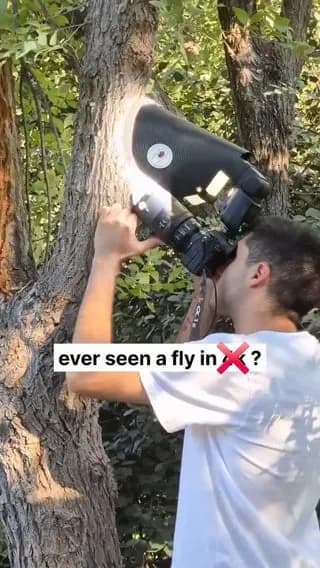 Ever seen a fly so close...?