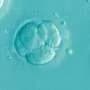 Human embryo base editing can reach all cells but causes unpredictable genetic changes