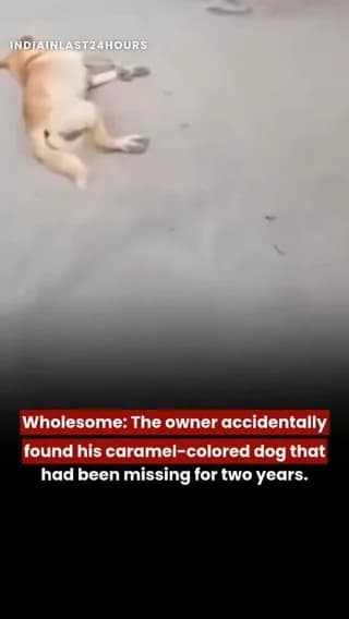 Lost and found