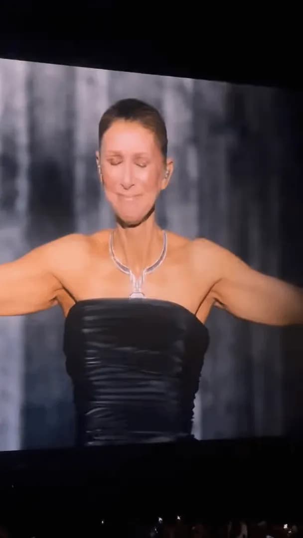 Céline Dion cries as she has her first concert in over six years in Paris