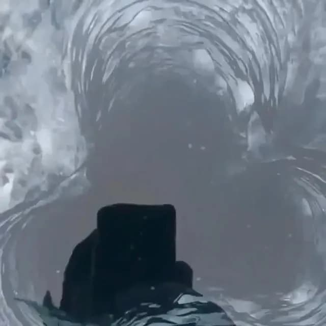 A new friend from below the ice