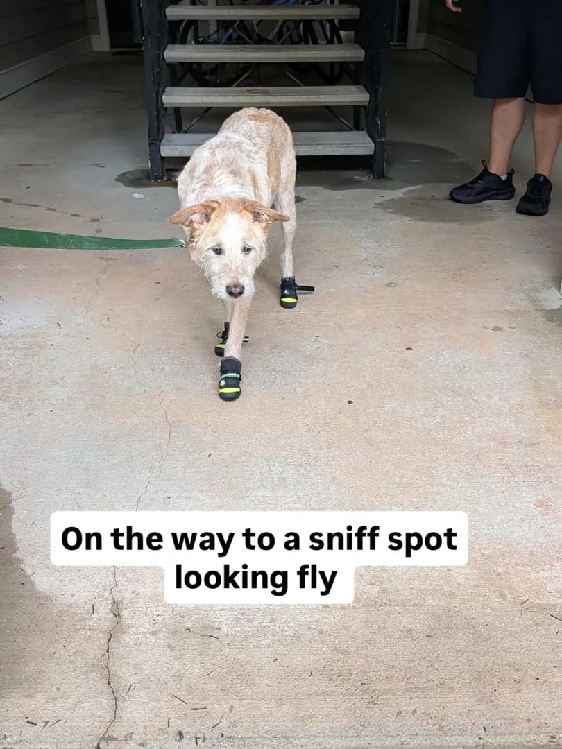 This is why all the surgeries and hospitalizations are worth it[OC]