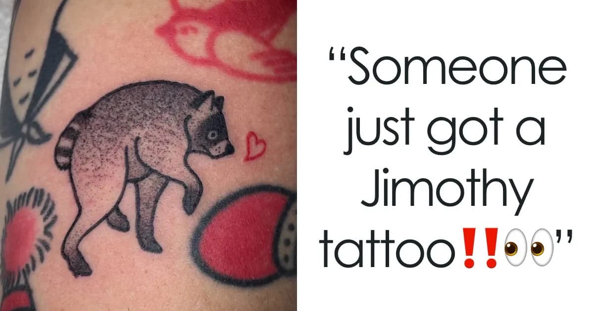 Local Legend: Intriguing Memes Capturing Jimothy The Raccoon’s Rise