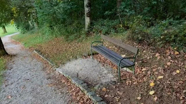 An old bench with a view