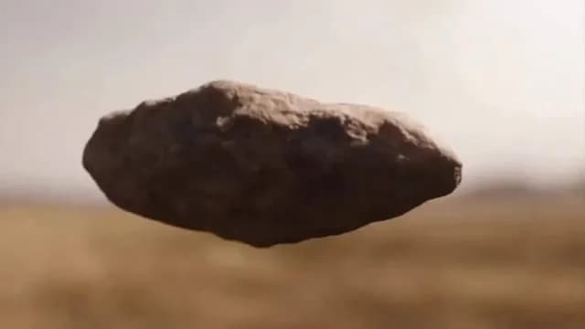 Human Evolution in 30 seconds