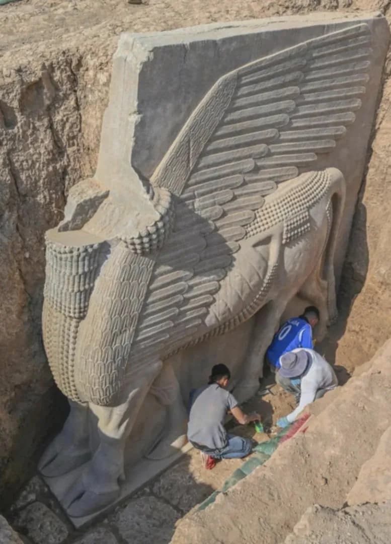 A massive 2700-year-old, 18-ton statue of a winged-bull, known as a lamassu that was excavated in Iraq in November 2023