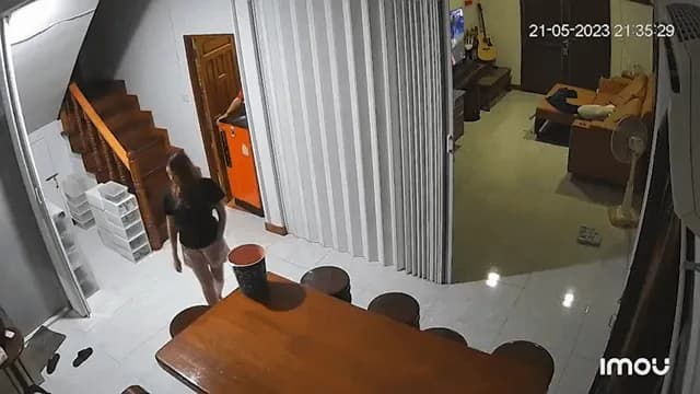 Aggressive pet cat pounces on terrified owners.