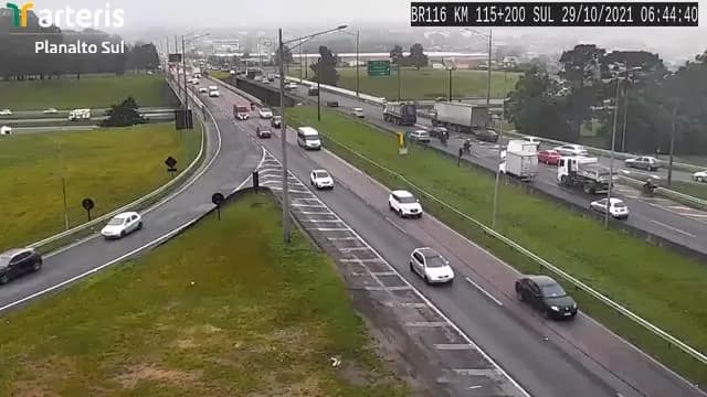 A parrot sneaks into the frame of a highway traffic camera.