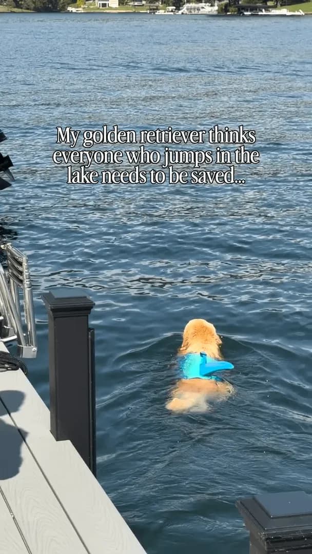 Gus to the rescue
