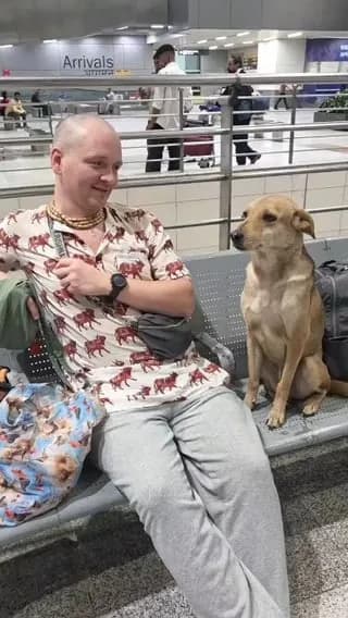 The doggo found the perfect seatmate