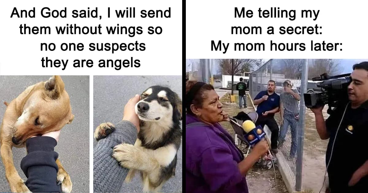 Whimsical Relief: Memes For A Lighthearted Break