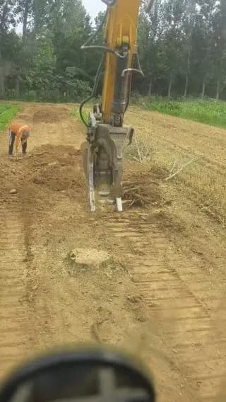 Tree root extraction
