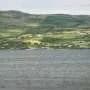 Saltwater flooding could radically change which crops are worth growing