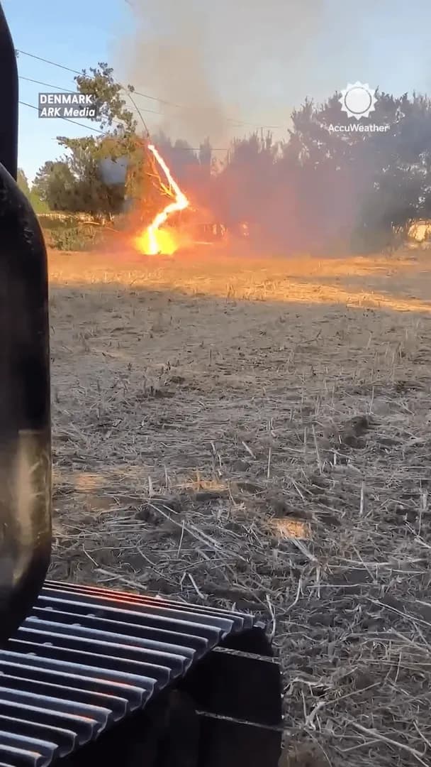 A tree caught fire after falling onto live power lines in Denmark, the flames appeared to pulse as electricity surged through it
