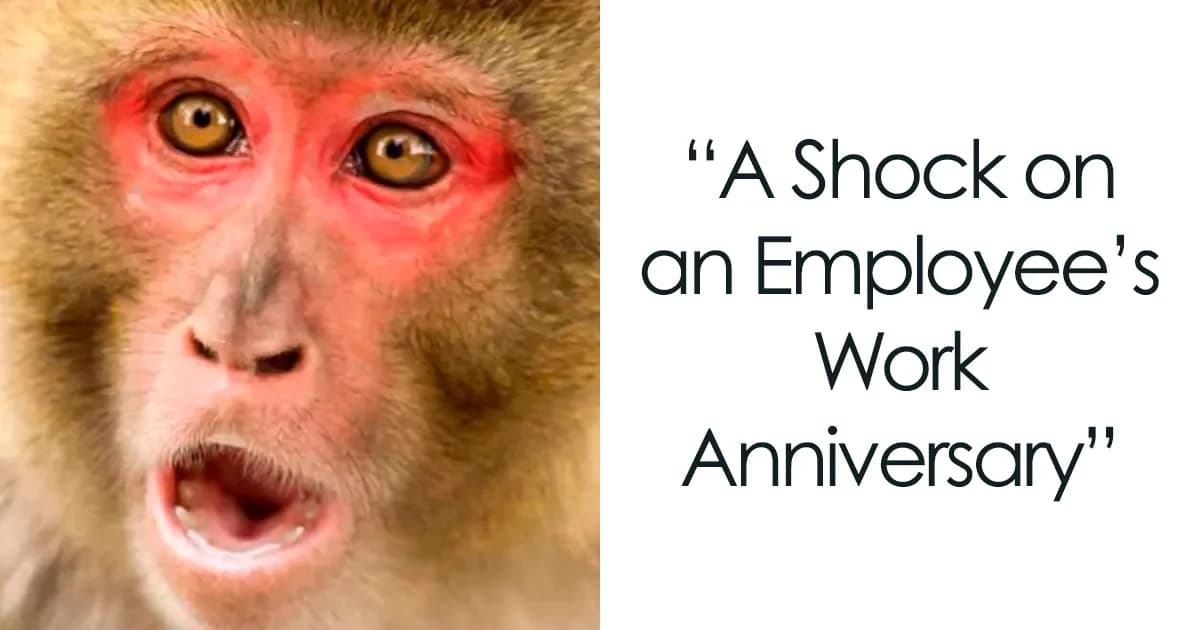 Amusing Work Anniversary Memes That Hit Too Close To Home