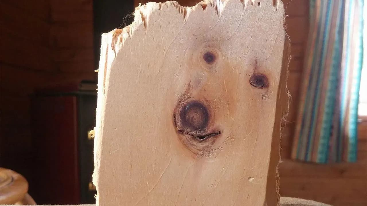 62 Funny Examples Of Pareidolia Shared By This Online Community