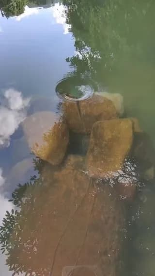 this small whirlpool is sucking in these ping pong balls