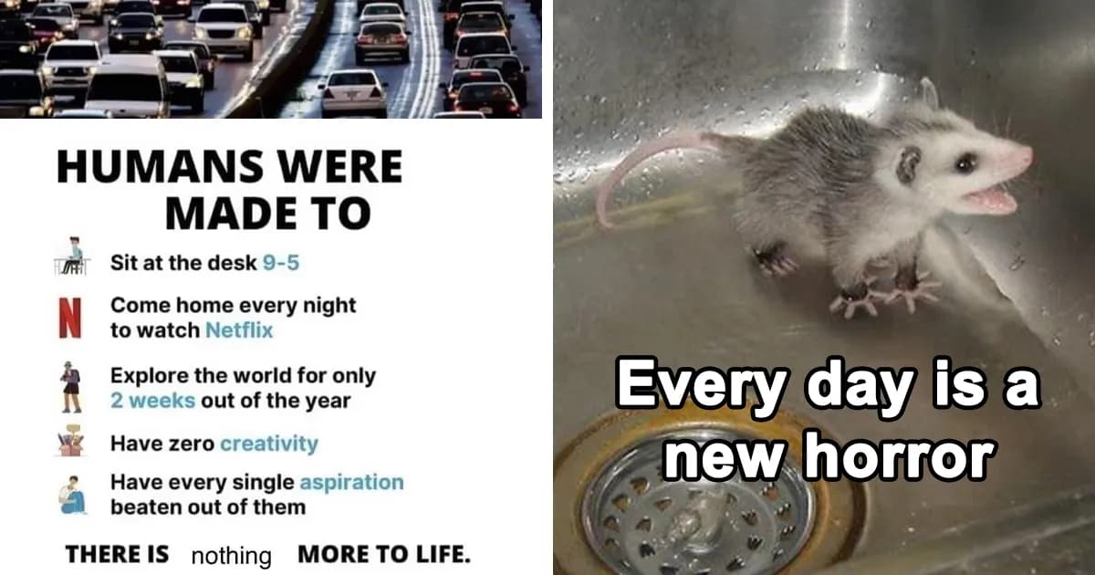 Memes That Turn Nothingness And Despair Into Something To Laugh About