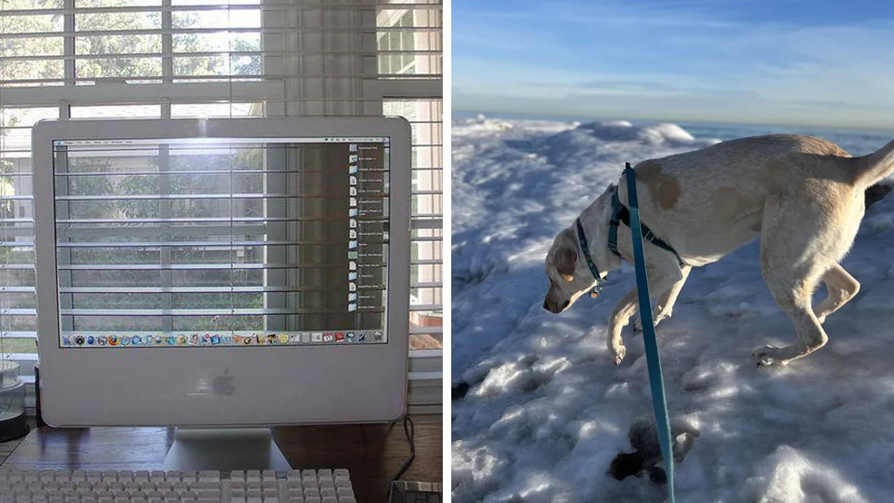 118 Unhinged Images That Made People Go “Hmmm”