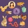 AI models enable cross-species mapping of cell biology