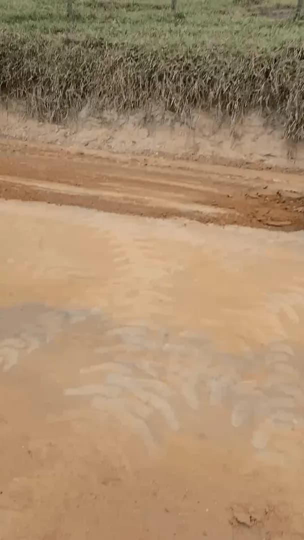 Excavator manoeuvring onto a dump truck for transportation