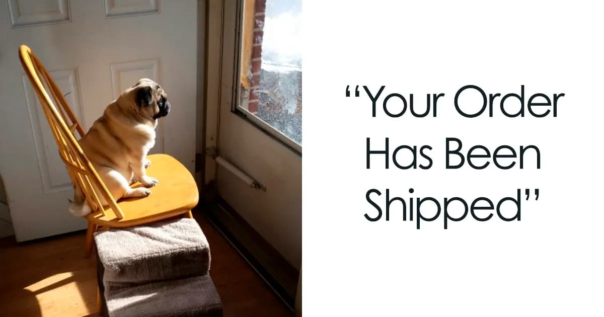 19 Whimsical Memes For Those Long Waiting Moments