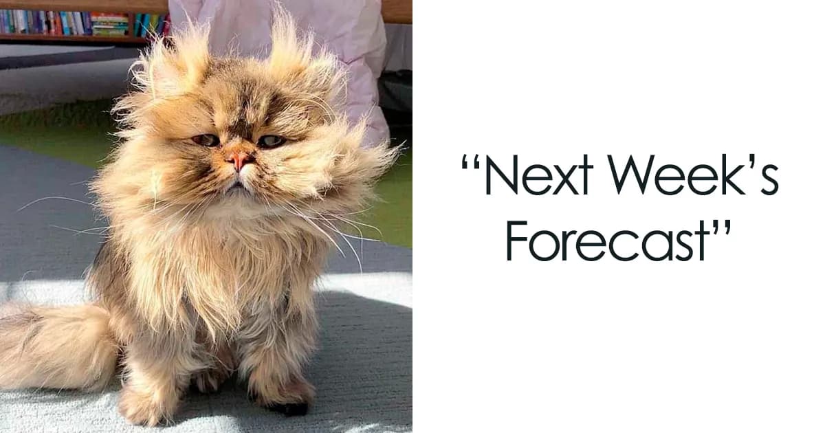 27 Sunday Memes For People Who Are Not Ready To Face Monday