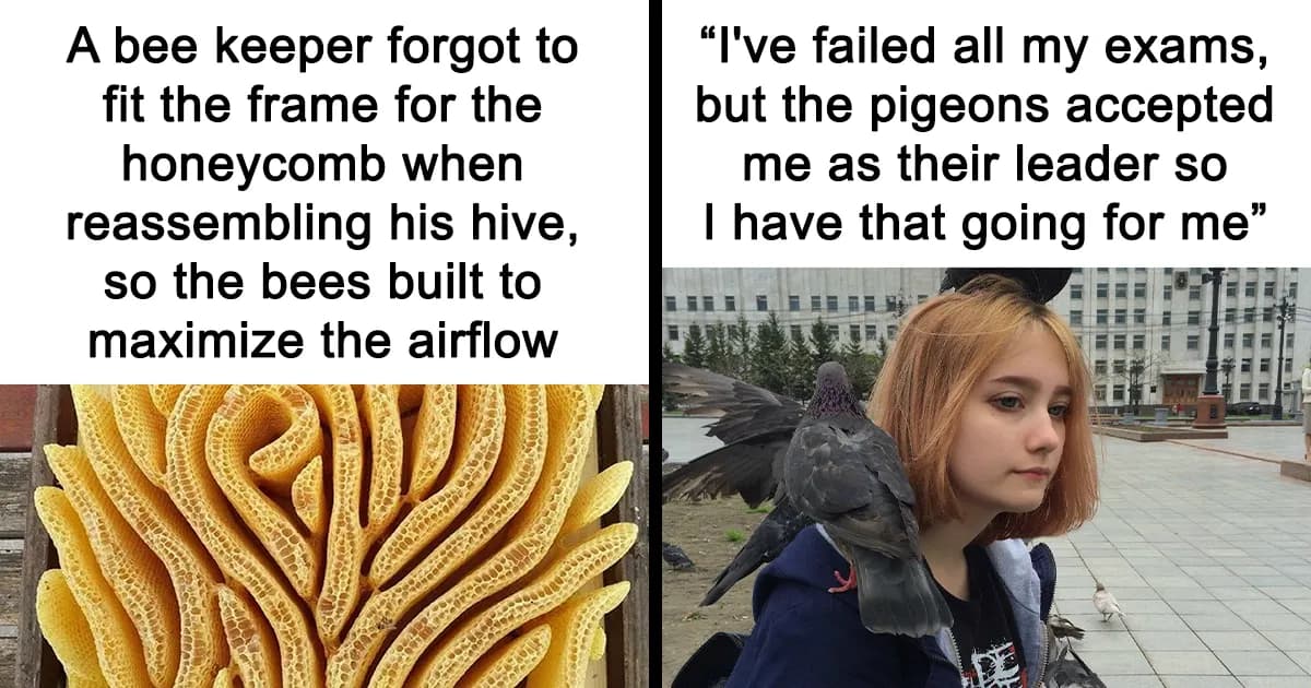 Humorous Memes For People Who Need A Short Break From This Thing Called Life