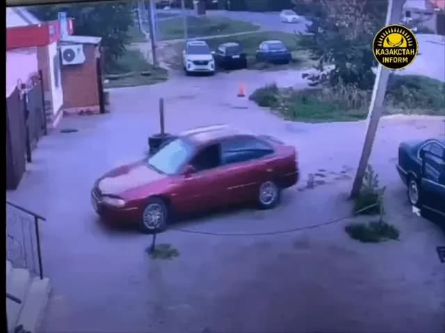 A feline car thief caused a car crash in Kazakhstan. According to local media, the cat snuck into the vehicle through an open window and somehow managed to shift it into gear. The joyride was short-li