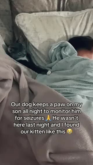 Dog left clear instructions