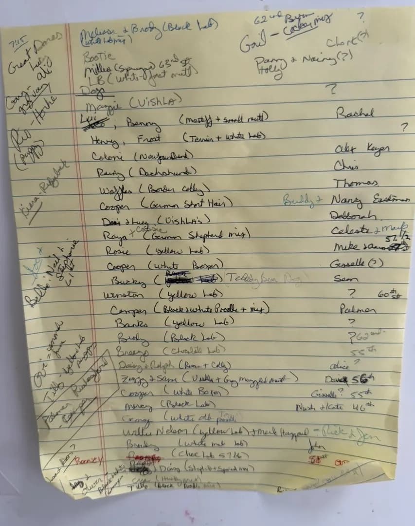 My dad keeps a running list of the dogs he meets on his beach walks.