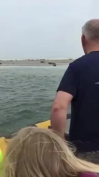 Humanity is not lost