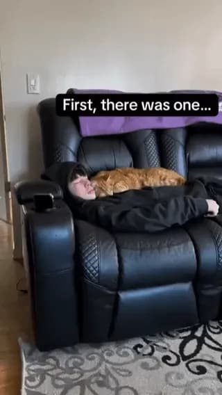 Started with one cat... ended up as a human blanket