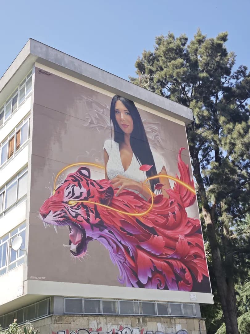 Street Art in Vigo, Spain