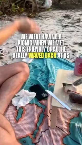 And Mr. Krabs waved back