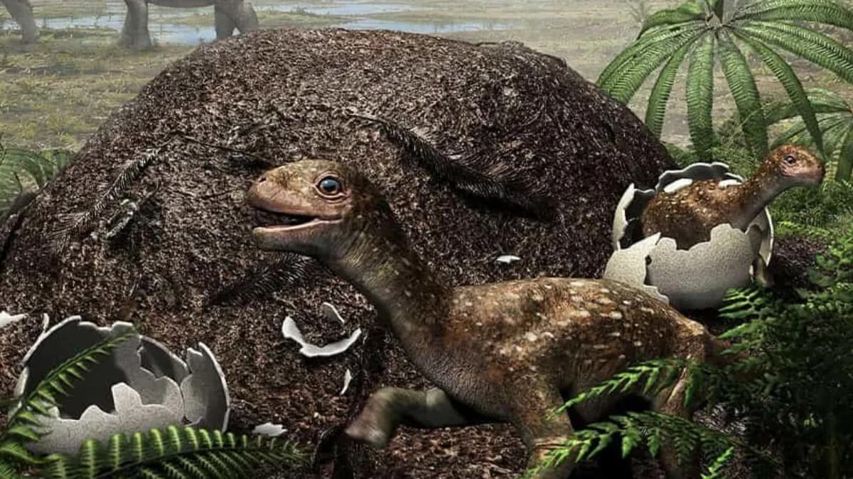 Dinosaurs May Have Engineered Their Own Egg Incubators to Survive Cold Regions