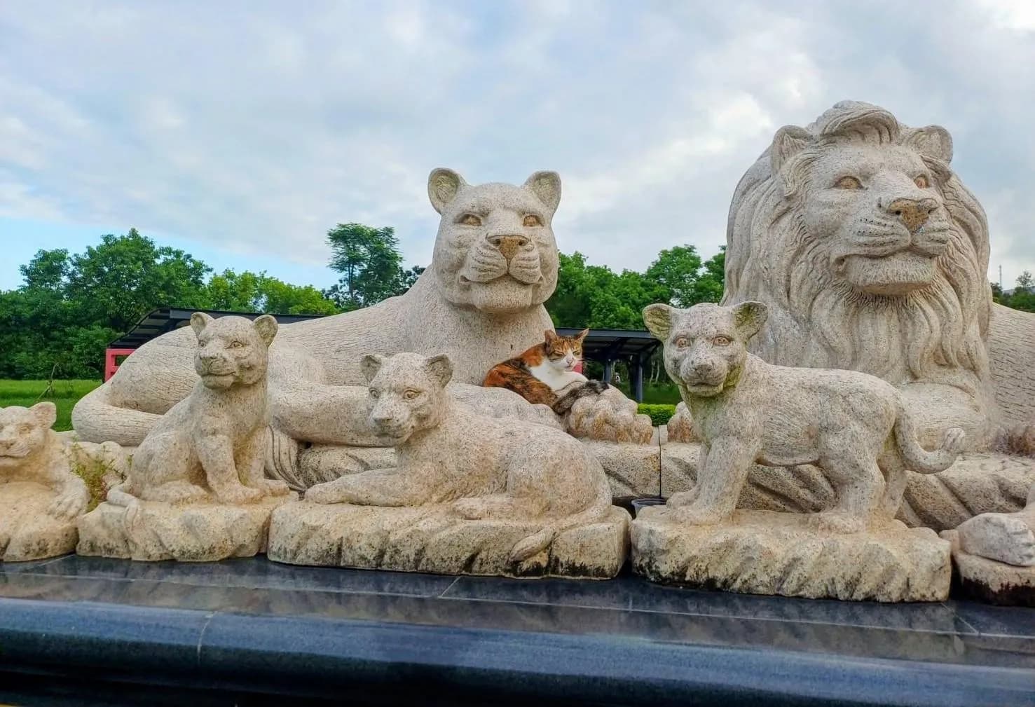 One of these is not like the others...