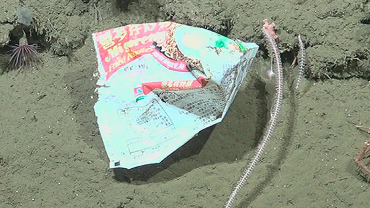Mi Goreng Noodle Packet Found Nearly 2 Kilometers Beneath The Sea
