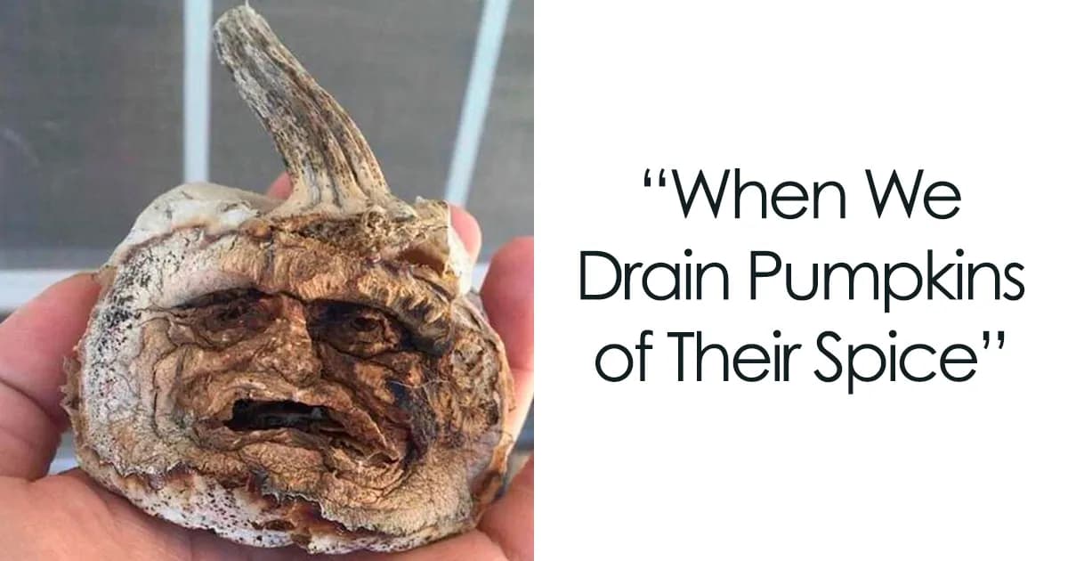 Pumpkin Spice Season: Fall Memes That Capture Peak Cozy Vibes
