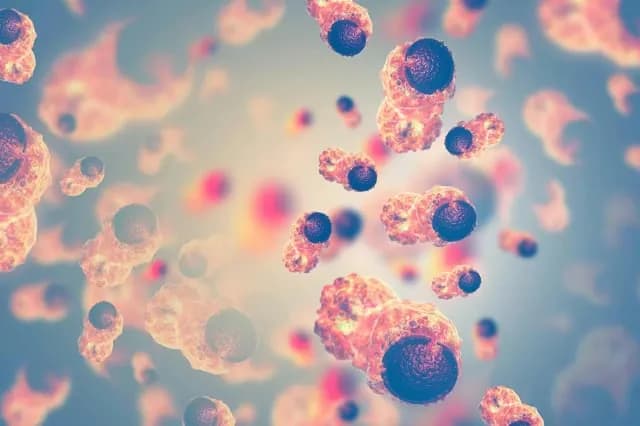 Scientists discover an amphibian gut bacterium 100% effective in destroying cancer cells in rats