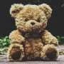 When prepping for disaster, don't forget to pack your teddy bear