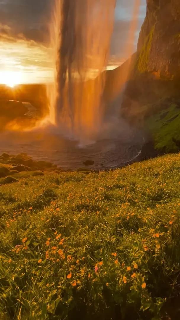 A waterfall under the midnight sun at Seljalandsfoss, Iceland.