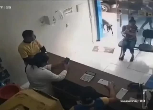 A stray dog limped into a vet’s clinic by himself and asked for help by offering his injured paw for inspection.