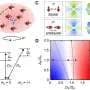 An extremely stable quantum gas offers a new lens on strongly interacting systems