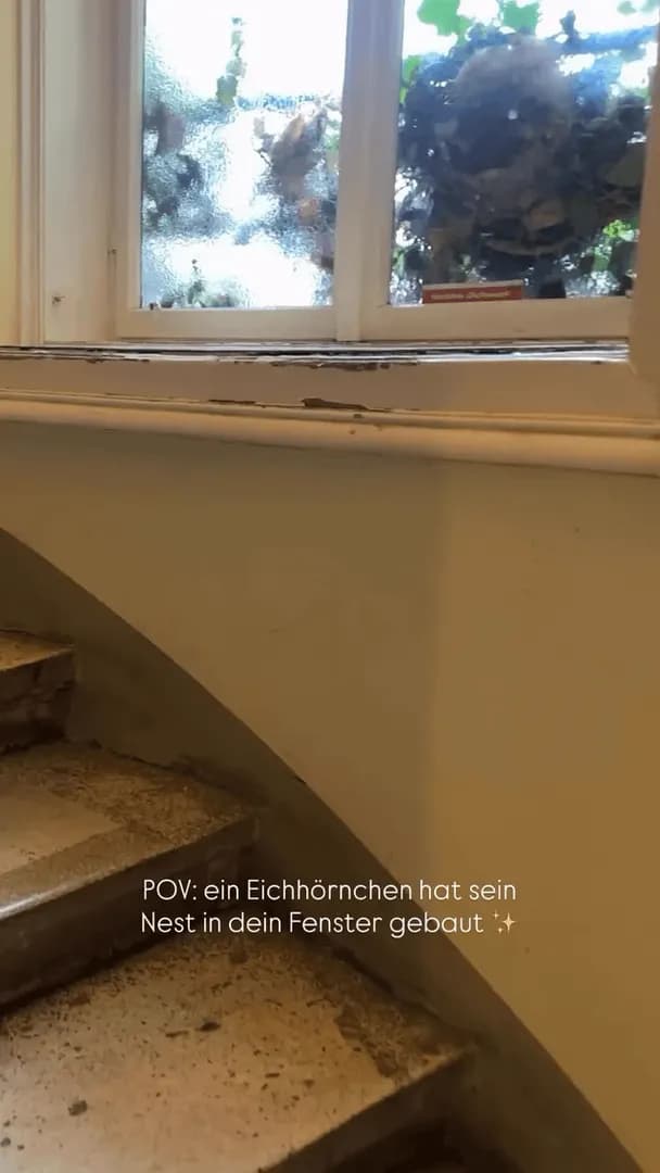 When the wild shows up at your doorstep… you never know what’s coming