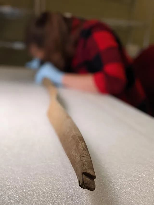 TIL that a wooden hunting bow found in a lake in Alaska was radiocarbon dated to approximately 460 years old, despite having been exposed to the elements for an unknown amount of time