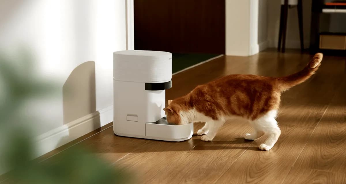 Petlibro’s new AI-powered feeder is a game changer for multi-cat homes | TechCrunch