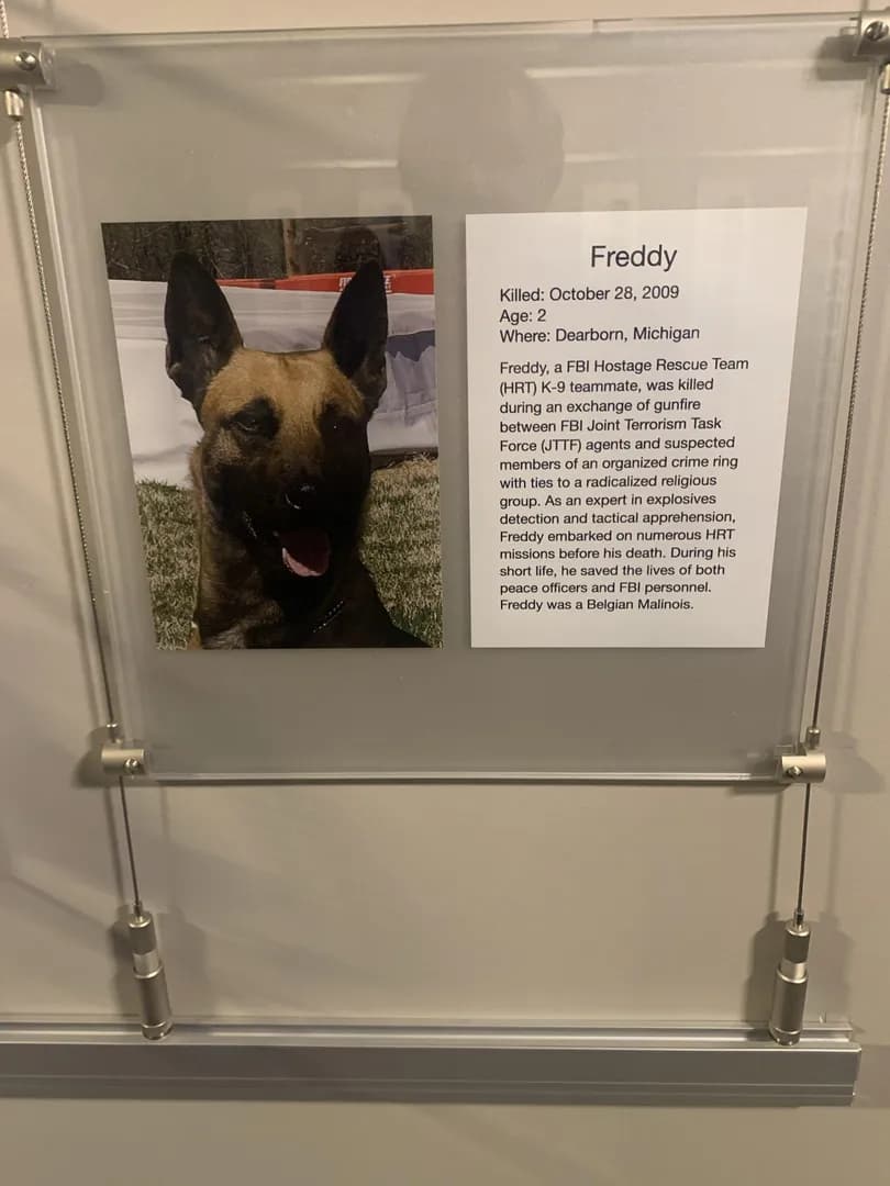 He was the goodest of boys