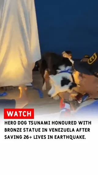 Hero dog Tsunami honored with a bronze statue after saving over 26 lives during an earthquake.