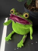 I turned Jason Funderberker into a fully functional frog purse
